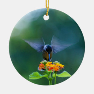 De Cerâmica Ornamento das Asas do Anjo Hummingbird