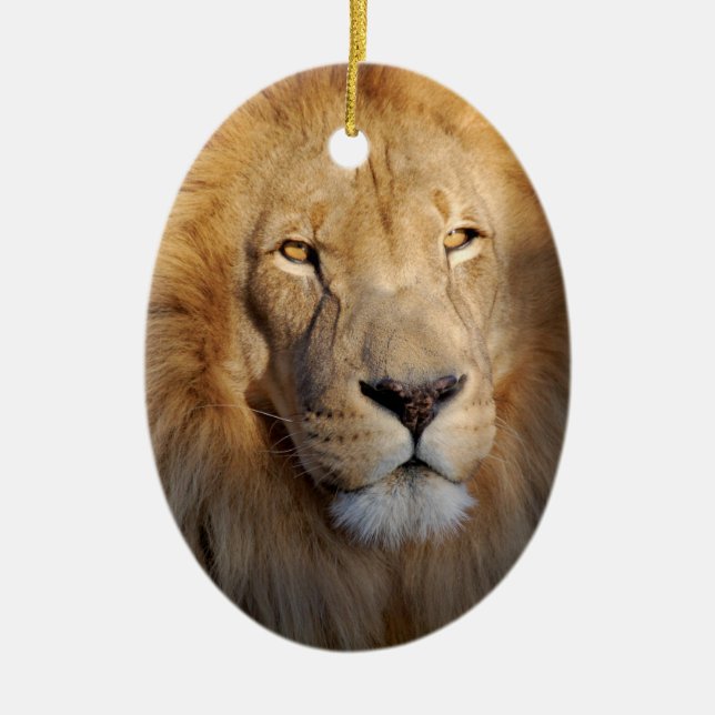 De Cerâmica Ornamento das imagens do leão (Frente)