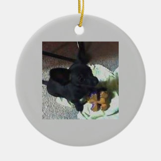 DE CERÂMICA ORNAMENTO DO BEBÊ POKEMON