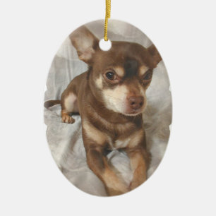 De Cerâmica Ornamento do cão da chihuahua