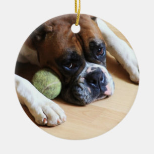 De Cerâmica Ornamento do cão do pugilista