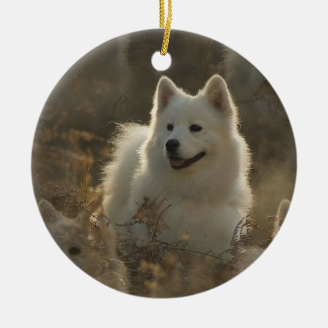 De Cerâmica Ornamento do cão do Samoyed (Frente)
