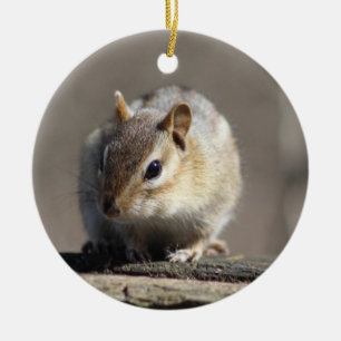 De Cerâmica Ornamento do Chipmunk