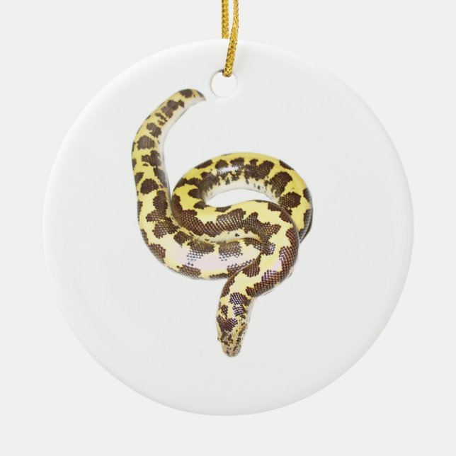 De Cerâmica Ornamento do círculo do ESB (Frente)