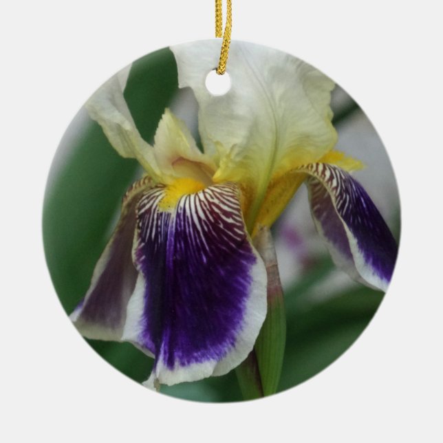 De Cerâmica Ornamento do Círculo Fotográfico da Flor Iris (Frente)