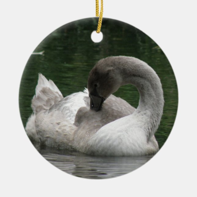 De Cerâmica Ornamento do Cisne Sonolento (Frente)