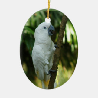 De Cerâmica Ornamento do Cockatoo