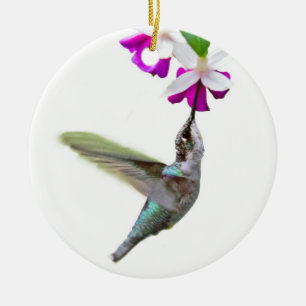 De Cerâmica Ornamento do colibri