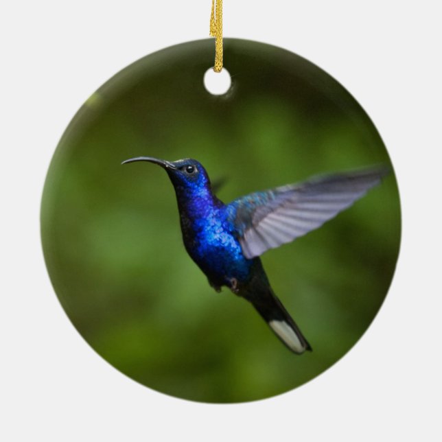 DE CERÂMICA ORNAMENTO DO COLIBRI (Traseira)