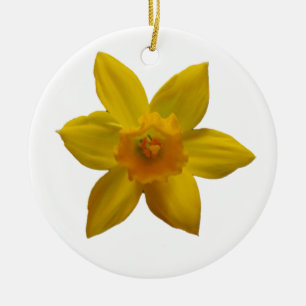 De Cerâmica Ornamento do Daffodil
