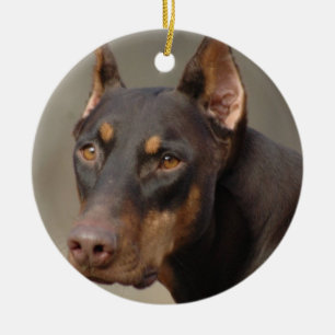 De Cerâmica Ornamento do Doberman