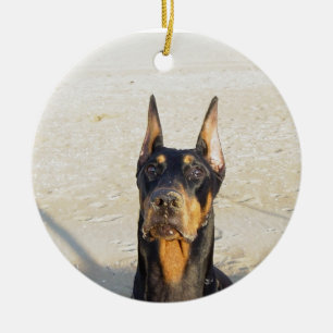 De Cerâmica Ornamento do Doberman