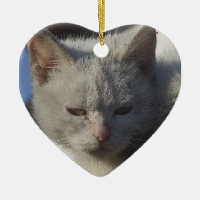 De Cerâmica Ornamento do gato do amor (Frente)