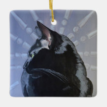 Ornamento do gato preto
