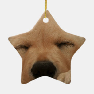 De Cerâmica Ornamento do golden retriever do sono
