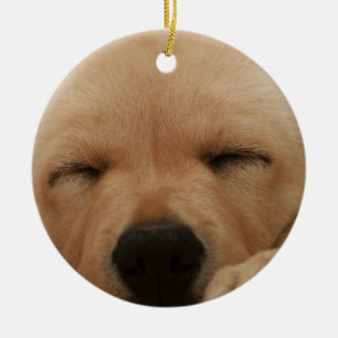 De Cerâmica Ornamento do golden retriever do sono