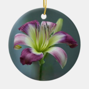 De Cerâmica Ornamento do hemerocallis