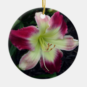 De Cerâmica Ornamento do hemerocallis