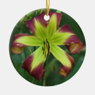 De Cerâmica Ornamento do hemerocallis