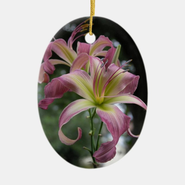 De Cerâmica Ornamento do hemerocallis (Frente)