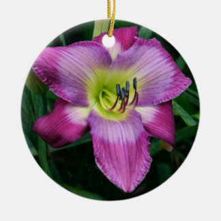 De Cerâmica Ornamento do hemerocallis