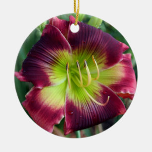 De Cerâmica Ornamento do hemerocallis