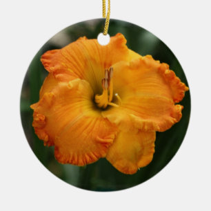 De Cerâmica Ornamento do hemerocallis
