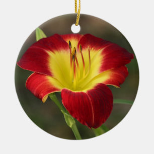 De Cerâmica Ornamento do hemerocallis