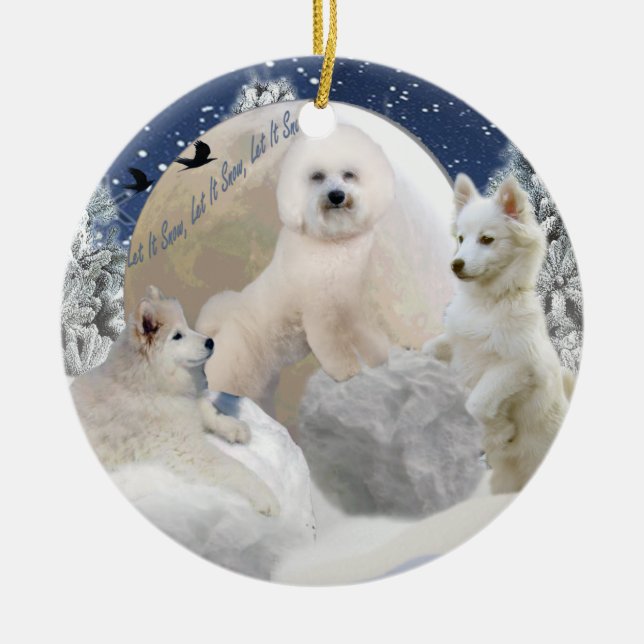 De Cerâmica Ornamento do jogo da neve (Frente)