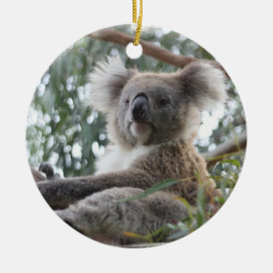 De Cerâmica Ornamento do Koala