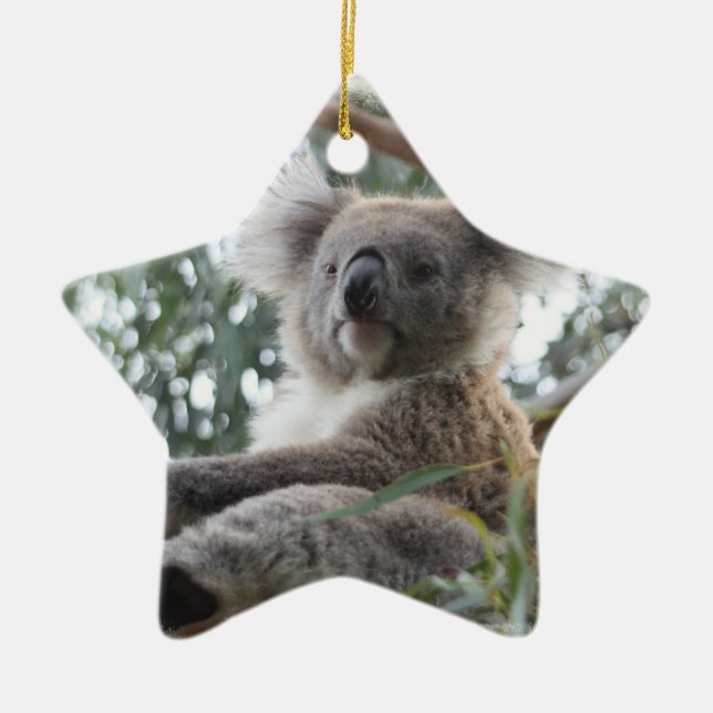 De Cerâmica Ornamento do Koala (Frente)