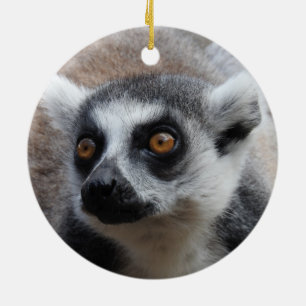 De Cerâmica Ornamento do Lemur