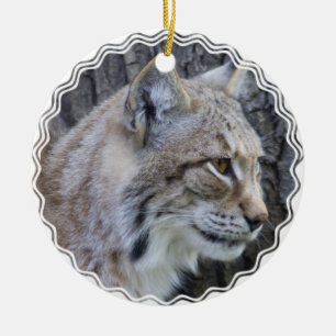 De Cerâmica Ornamento do lince