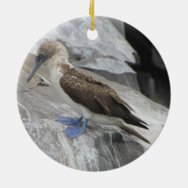 De Cerâmica Ornamento do pássaro