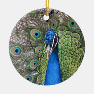De Cerâmica Ornamento do pavão