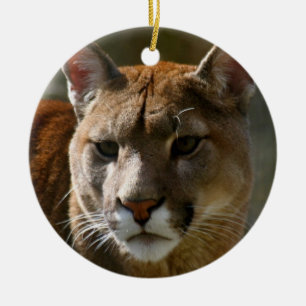 De Cerâmica Ornamento do puma
