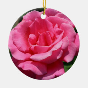 De Cerâmica Ornamento do rosa do rosa