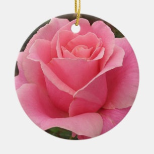 De Cerâmica Ornamento do rosa do rosa