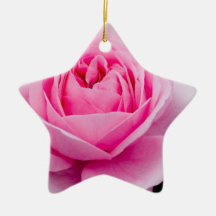 De Cerâmica Ornamento do rosa do rosa Pastel