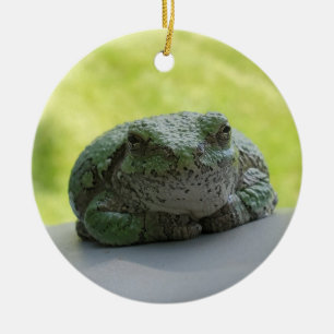 De Cerâmica Ornamento do sapo em árvore