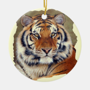 De Cerâmica Ornamento do tigre