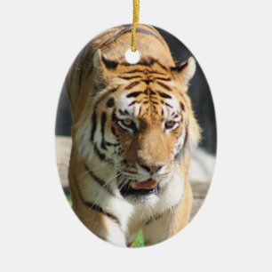 De Cerâmica Ornamento do Tigre