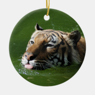 De Cerâmica Ornamento do tigre da natação