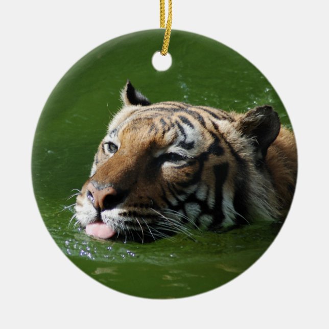De Cerâmica Ornamento do tigre da natação (Frente)