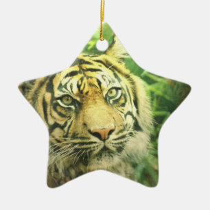 De Cerâmica Ornamento do tigre Siberian