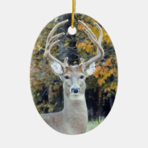 De Cerâmica Ornamento dos Antlers da quantia choruda
