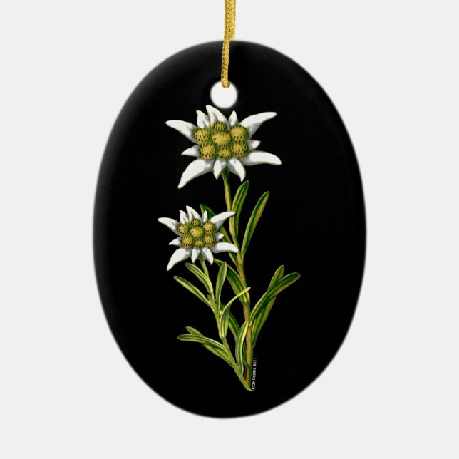 De Cerâmica Ornamento Edelweiss bonito (Frente)
