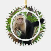 Ornamento enfrentado branco do macaco do Capuchin