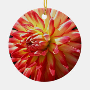 De Cerâmica Ornamento Flor Amarelo-Vermelho Dahlia