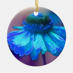 De Cerâmica Ornamento Flor Zinnia Azul Suave